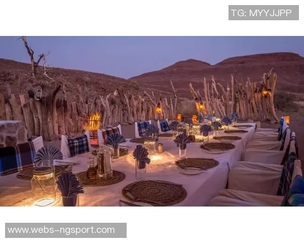 布林狮子迎战休斯顿城全力争胜展现球队实力与风采